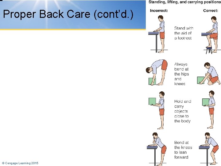 Proper Back Care (cont’d. ) © Cengage Learning 2015 