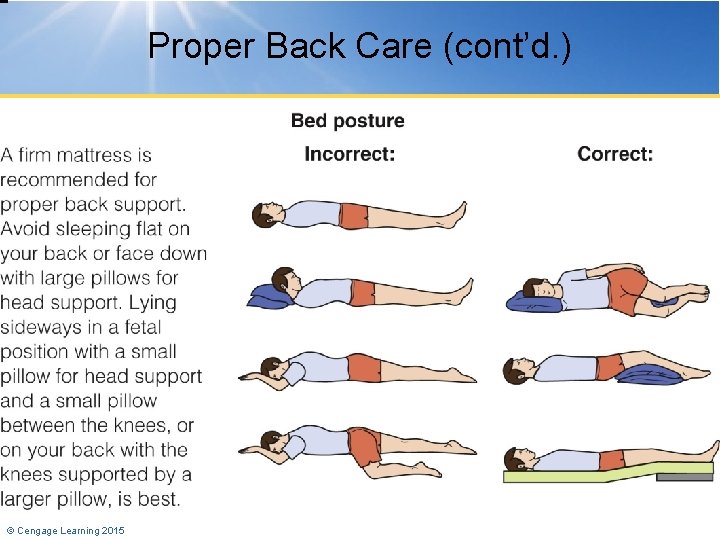 Proper Back Care (cont’d. ) © Cengage Learning 2015 