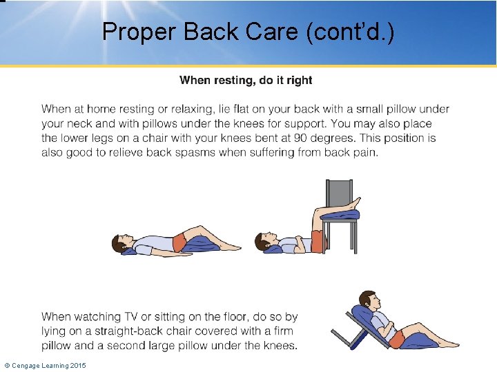 Proper Back Care (cont’d. ) © Cengage Learning 2015 