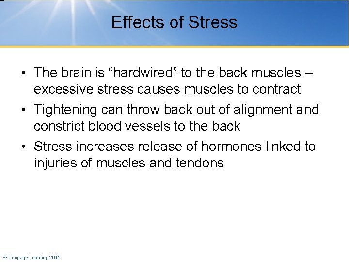 Effects of Stress • The brain is “hardwired” to the back muscles – excessive