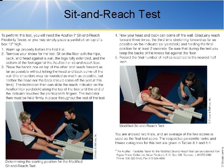 Sit-and-Reach Test © Cengage Learning 2015 