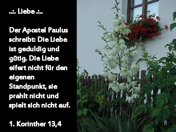 . . : . Liebe. : . . Der Apostel Paulus schreibt: Die Liebe