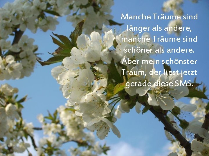 Manche Träume sind länger als andere, manche Träume sind schöner als andere. Aber mein