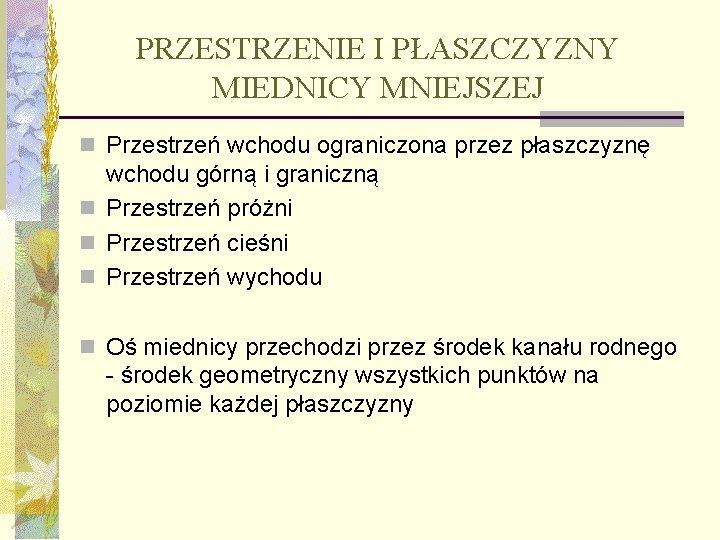 PRZESTRZENIE I PŁASZCZYZNY MIEDNICY MNIEJSZEJ n Przestrzeń wchodu ograniczona przez płaszczyznę wchodu górną i