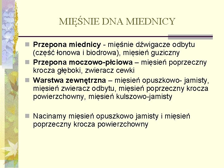 MIĘŚNIE DNA MIEDNICY n Przepona miednicy - mięśnie dźwigacze odbytu (część łonowa i biodrowa),
