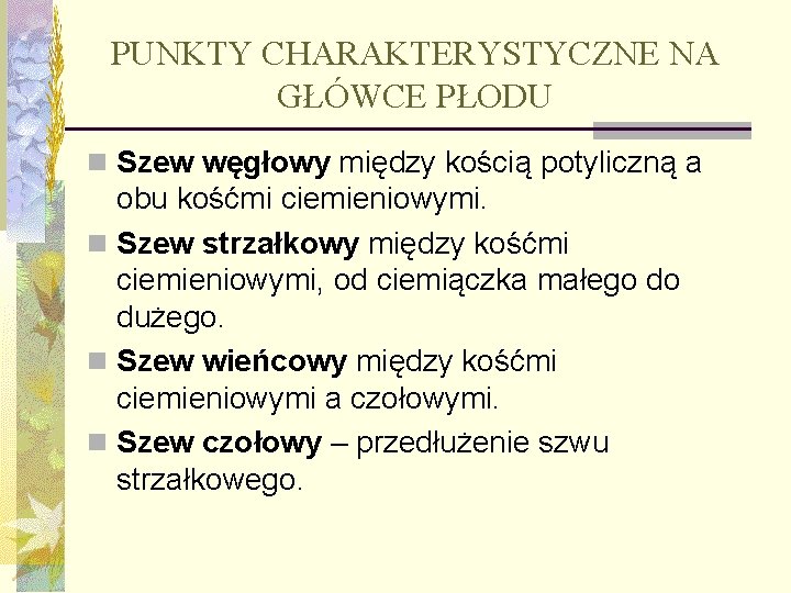 PUNKTY CHARAKTERYSTYCZNE NA GŁÓWCE PŁODU n Szew węgłowy między kością potyliczną a obu kośćmi