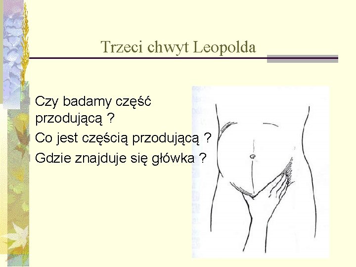 Trzeci chwyt Leopolda n Czy badamy część przodującą ? n Co jest częścią przodującą