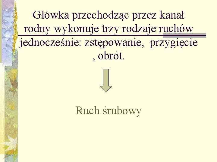 Główka przechodząc przez kanał rodny wykonuje trzy rodzaje ruchów jednocześnie: zstępowanie, przygięcie , obrót.