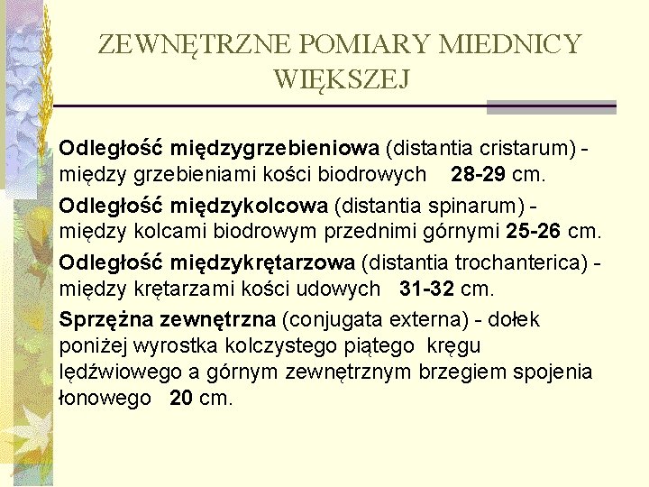 ZEWNĘTRZNE POMIARY MIEDNICY WIĘKSZEJ n Odległość międzygrzebieniowa (distantia cristarum) - między grzebieniami kości biodrowych