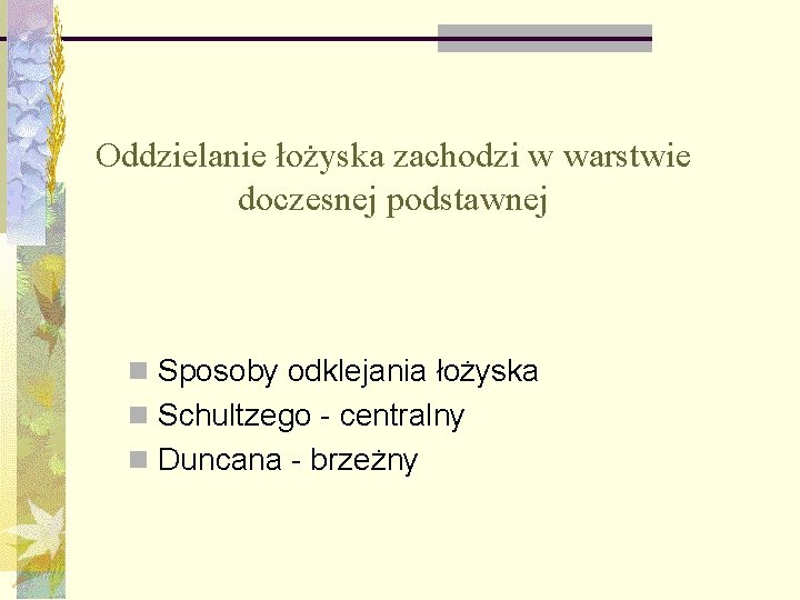 Oddzielanie łożyska zachodzi w warstwie doczesnej podstawnej n Sposoby odklejania łożyska n Schultzego -