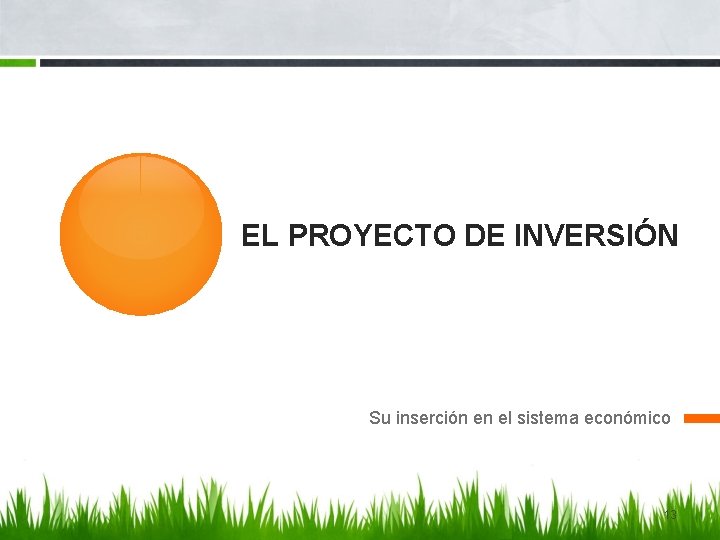 EL PROYECTO DE INVERSIÓN Su inserción en el sistema económico 13 