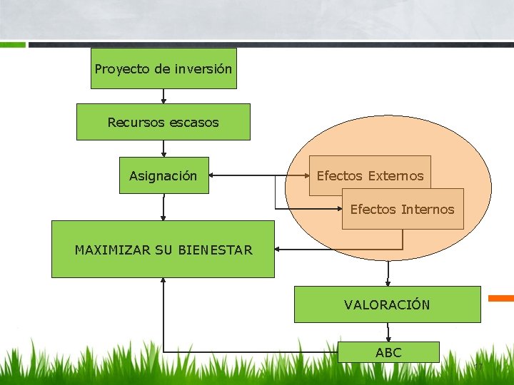 Proyecto de inversión Recursos escasos Asignación Efectos Externos Efectos Internos MAXIMIZAR SU BIENESTAR VALORACIÓN