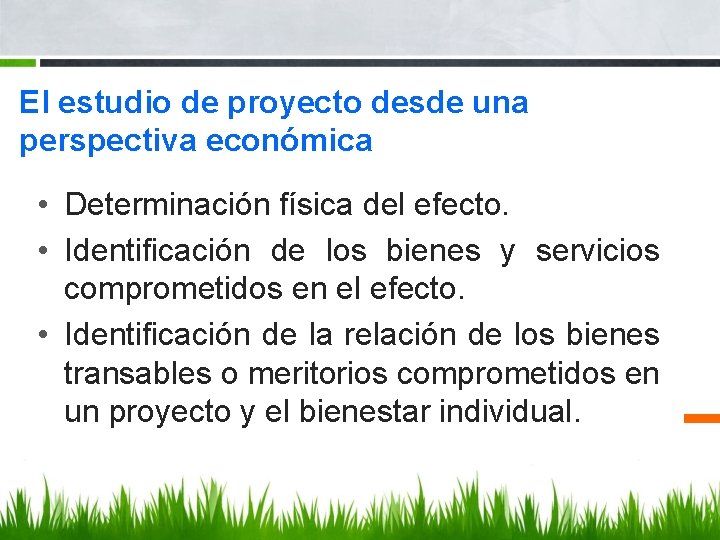 El estudio de proyecto desde una perspectiva económica • Determinación física del efecto. •