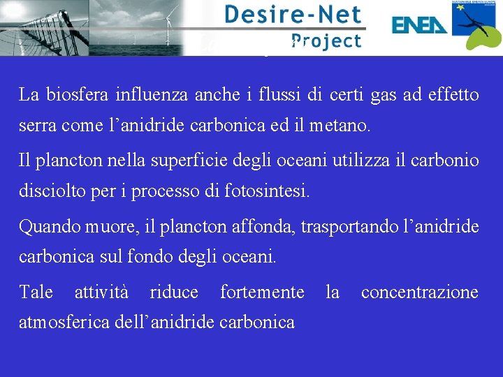 La biosfera influenza anche i flussi di certi gas ad effetto serra come l’anidride