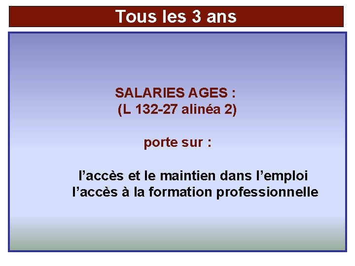 Tous les 3 ans SALARIES AGES : (L 132 -27 alinéa 2) porte sur