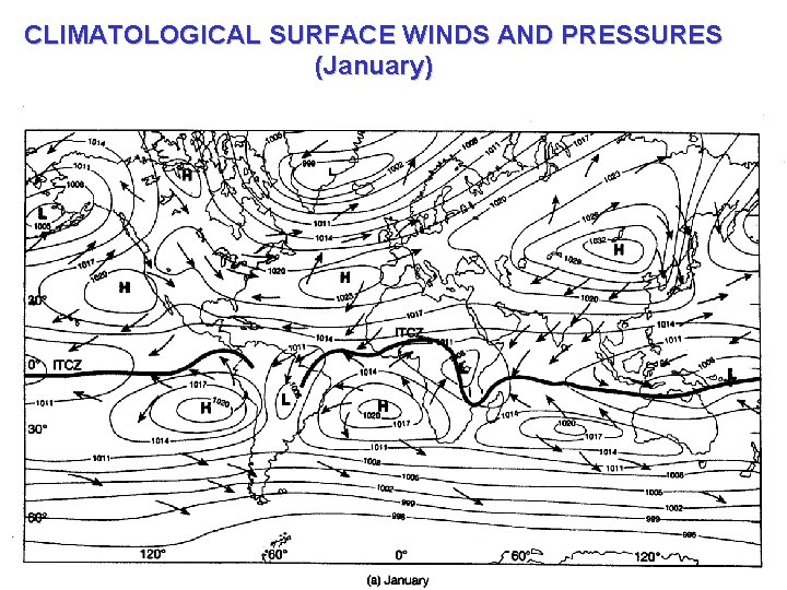CLIMATOLOGICAL SURFACE WINDS AND PRESSURES (January) 