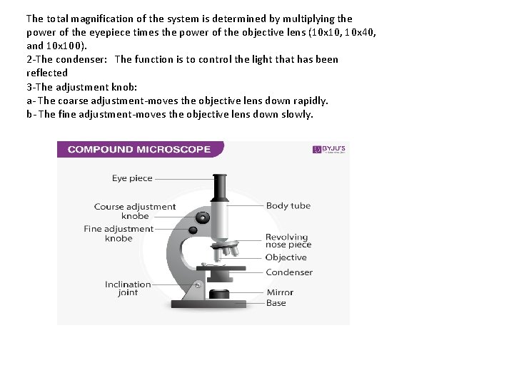 The total magnification of the system is determined by multiplying the power of the