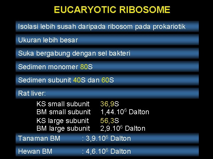 EUCARYOTIC RIBOSOME Isolasi lebih susah daripada ribosom pada prokariotik Ukuran lebih besar Suka bergabung