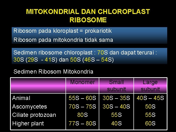 MITOKONDRIAL DAN CHLOROPLAST RIBOSOME Ribosom pada kloroplast = prokariotik Ribosom pada mitokondria tidak sama