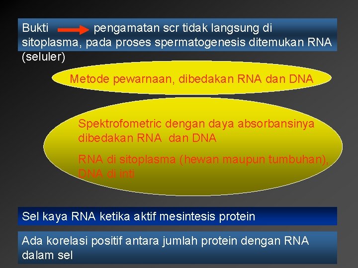 Bukti pengamatan scr tidak langsung di sitoplasma, pada proses spermatogenesis ditemukan RNA (seluler) Metode