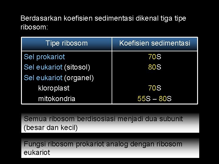 Berdasarkan koefisien sedimentasi dikenal tiga tipe ribosom: Tipe ribosom Sel prokariot Sel eukariot (sitosol)