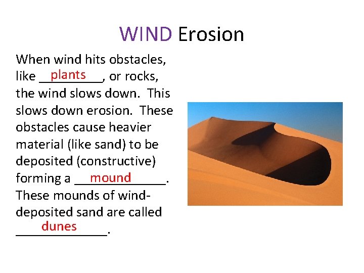 WIND Erosion When wind hits obstacles, plants like _____, or rocks, the wind slows
