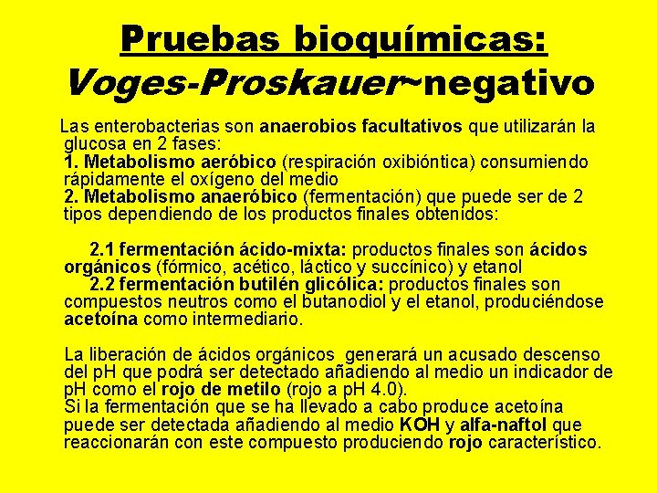  Pruebas bioquímicas: Voges-Proskauer~negativo Las enterobacterias son anaerobios facultativos que utilizarán la glucosa en