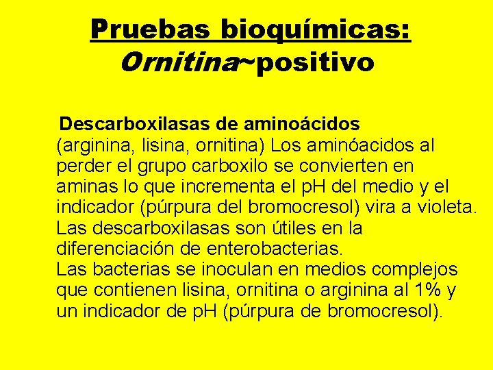  Pruebas bioquímicas: Ornitina~positivo Descarboxilasas de aminoácidos (arginina, lisina, ornitina) Los aminóacidos al perder