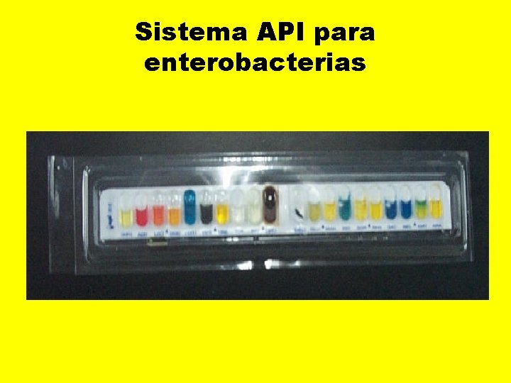 Sistema API para enterobacterias 