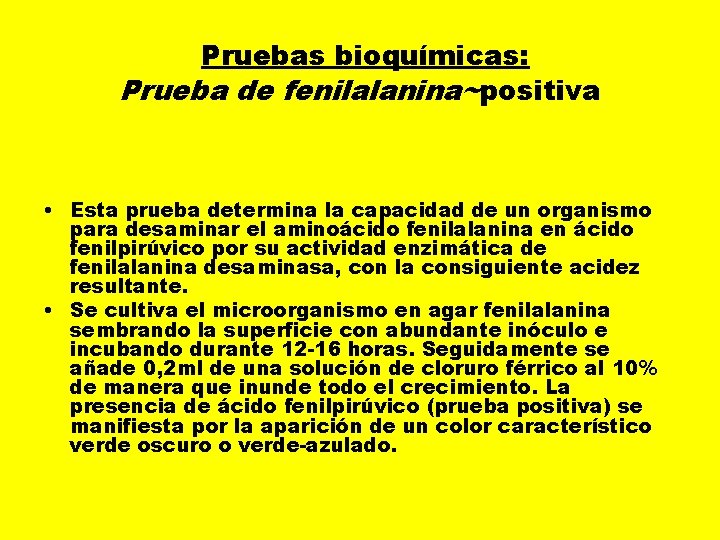  Pruebas bioquímicas: Prueba de fenilalanina~positiva • Esta prueba determina la capacidad de un