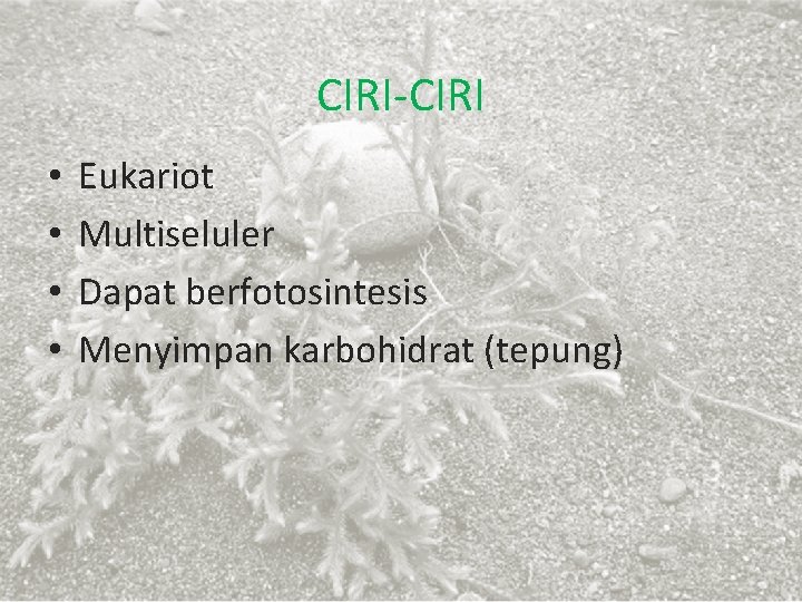 CIRI-CIRI • • Eukariot Multiseluler Dapat berfotosintesis Menyimpan karbohidrat (tepung) 