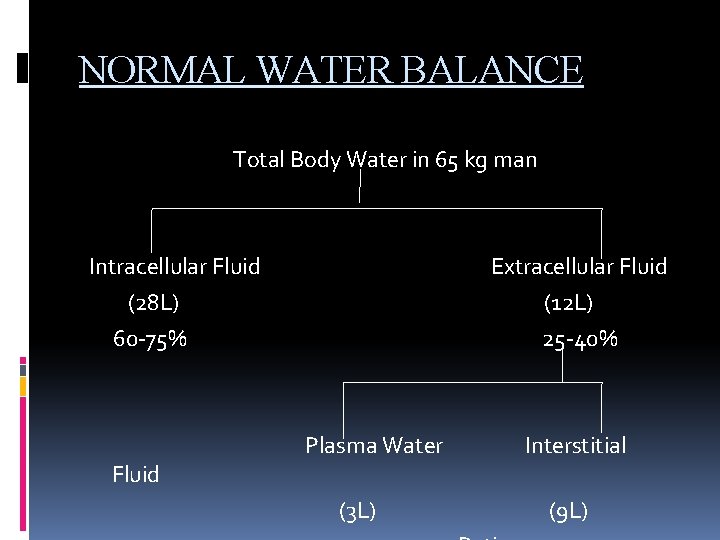 NORMAL WATER BALANCE Total Body Water in 65 kg man Intracellular Fluid (28 L)