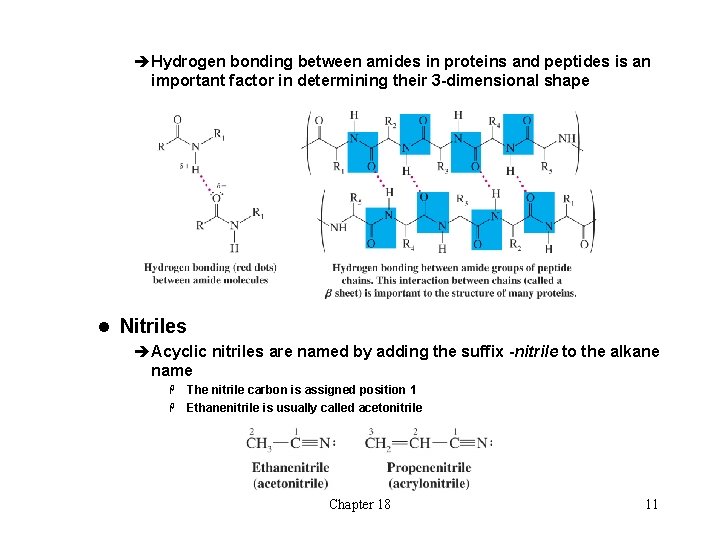 èHydrogen bonding between amides in proteins and peptides is an important factor in determining
