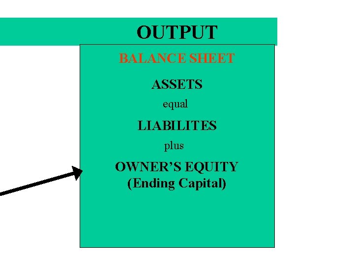 OUTPUT BALANCE SHEET ASSETS equal LIABILITES plus OWNER’S EQUITY (Ending Capital) 