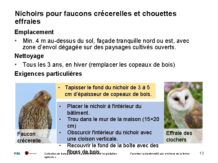 Nichoirs pour faucons crécerelles et chouettes effraies Emplacement • Min. 4 m au-dessus du