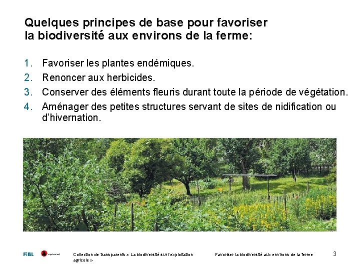 Quelques principes de base pour favoriser la biodiversité aux environs de la ferme: 1.