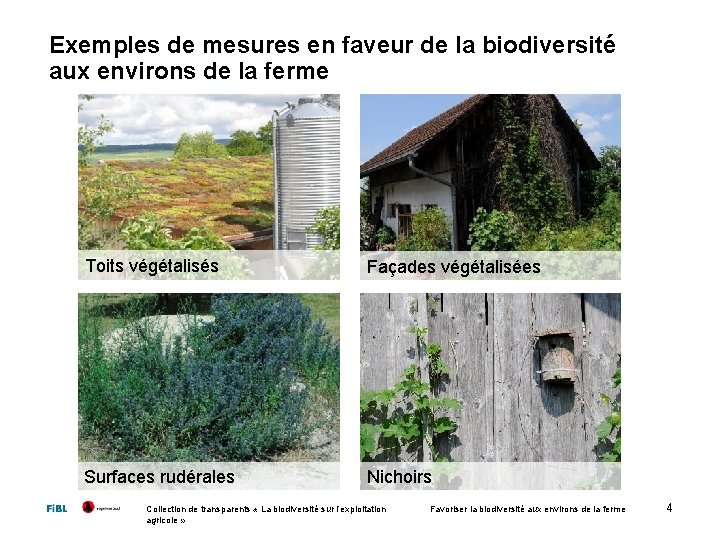 Exemples de mesures en faveur de la biodiversité aux environs de la ferme Toits