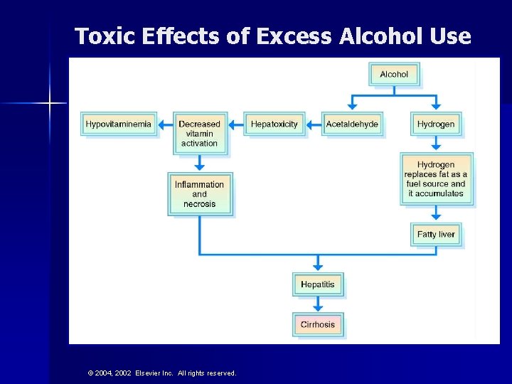 Toxic Effects of Excess Alcohol Use © 2004, 2002 Elsevier Inc. All rights reserved.