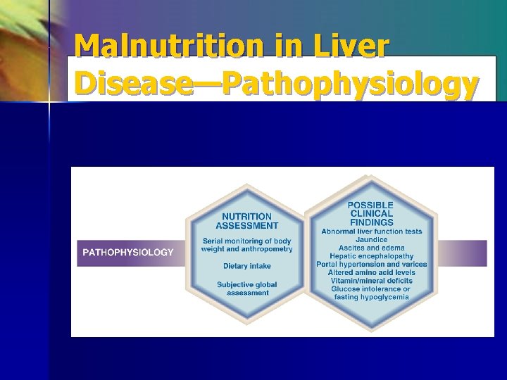 Malnutrition in Liver Disease—Pathophysiology Algorithm content developed by John Anderson, Ph. D, and Sanford