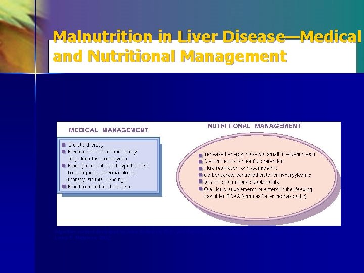 Malnutrition in Liver Disease—Medical and Nutritional Management Algorithm content developed by John Anderson, Ph.