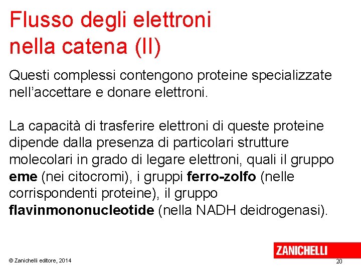 Flusso degli elettroni nella catena (II) Questi complessi contengono proteine specializzate nell’accettare e donare