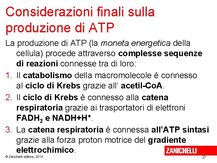 Considerazioni finali sulla produzione di ATP La produzione di ATP (la moneta energetica della