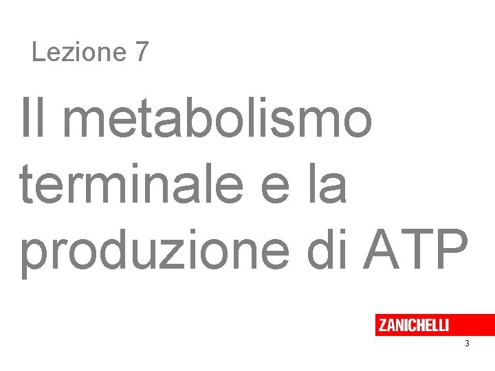 Lezione 7 Il metabolismo terminale e la produzione di ATP 3 