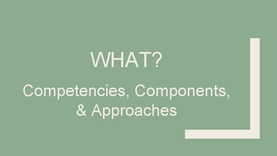 WHAT? Competencies, Components, & Approaches 