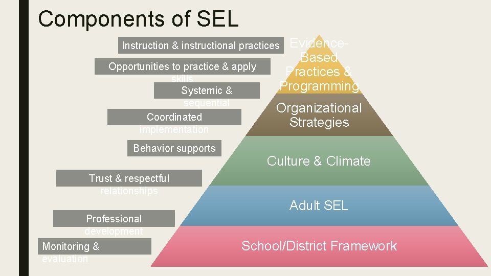 Components of SEL Evidence. Based Practices & Programming Instruction & instructional practices Opportunities to