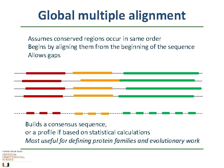 Global multiple alignment Assumes conserved regions occur in same order Begins by aligning them