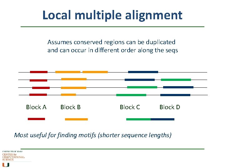 Local multiple alignment Assumes conserved regions can be duplicated and can occur in different