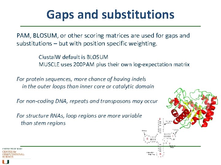 Gaps and substitutions PAM, BLOSUM, or other scoring matrices are used for gaps and