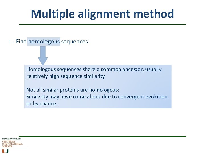 Multiple alignment method 1. Find homologous sequences Homologous sequences share a common ancestor, usually