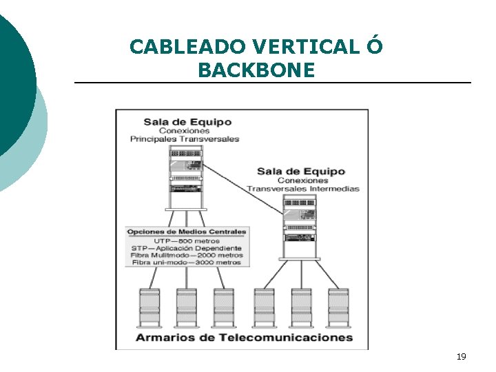 CABLEADO VERTICAL Ó BACKBONE 19 